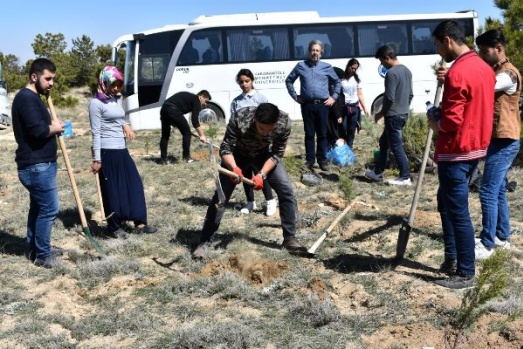 Fidanlar Toprakla Buluştu