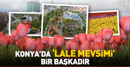 Konya'da lale bir başka güzel