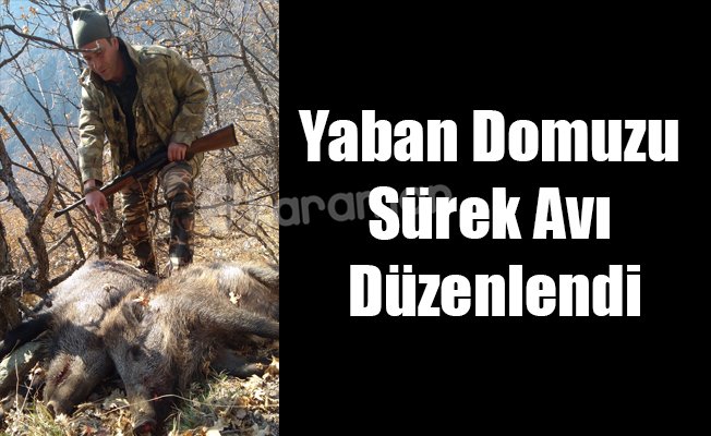 Yaban Domuzu Sürek Avı Düzenlendi