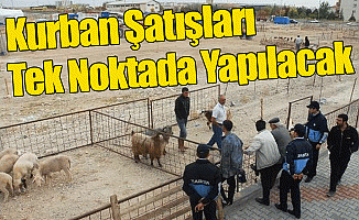 Kurban Satışları Tek Noktada Yapılacak