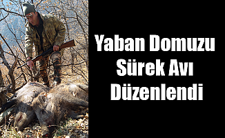 Yaban Domuzu Sürek Avı Düzenlendi