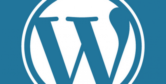 Wordpress İle İnternet Sitesi Hazırlamanın Püf Noktaları